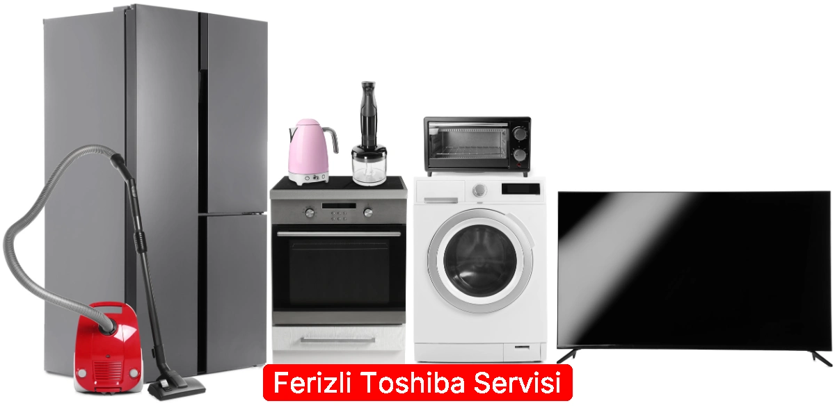 Ferizli Toshiba Servisi