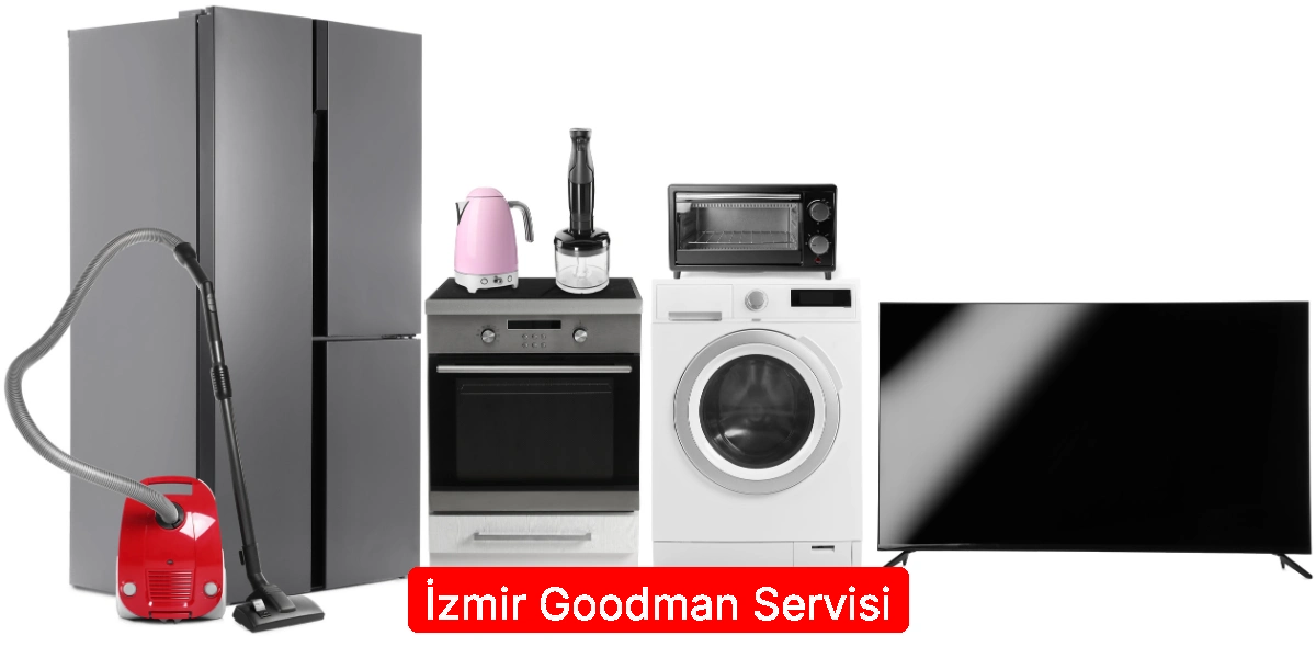İzmir Goodman Servisi