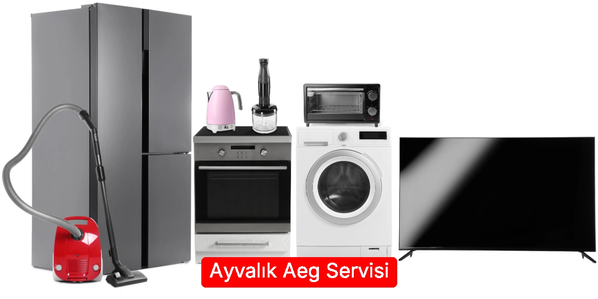 Ayvalık Aeg Servisi