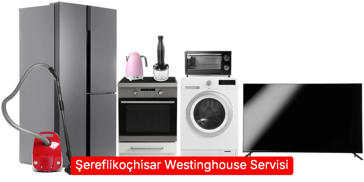 Şereflikoçhisar Westinghouse Servisi