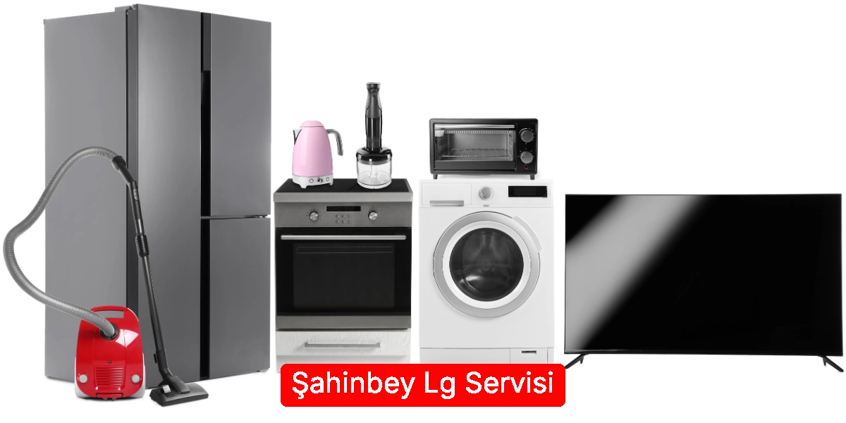 Şahinbey Lg Servisi