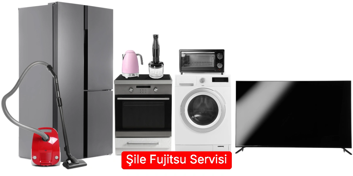 Şile Fujitsu Servisi