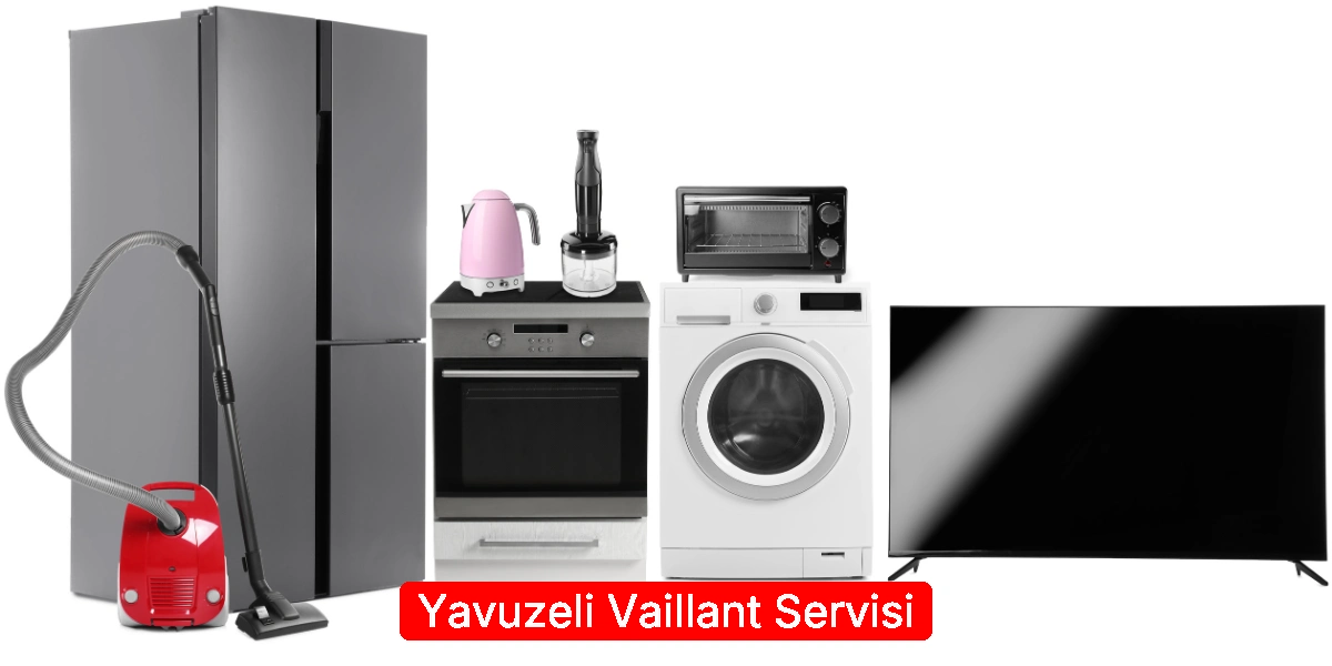 Yavuzeli Vaillant Servisi