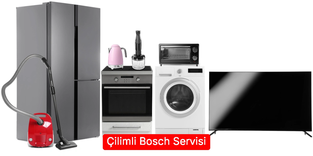 Çilimli Bosch Servisi