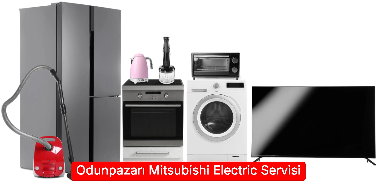 Odunpazarı Mitsubishi Electric Servisi