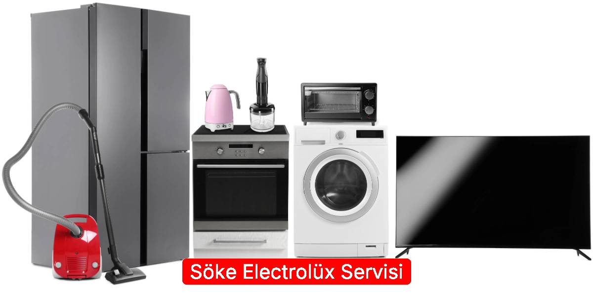 Söke Electrolüx Servisi