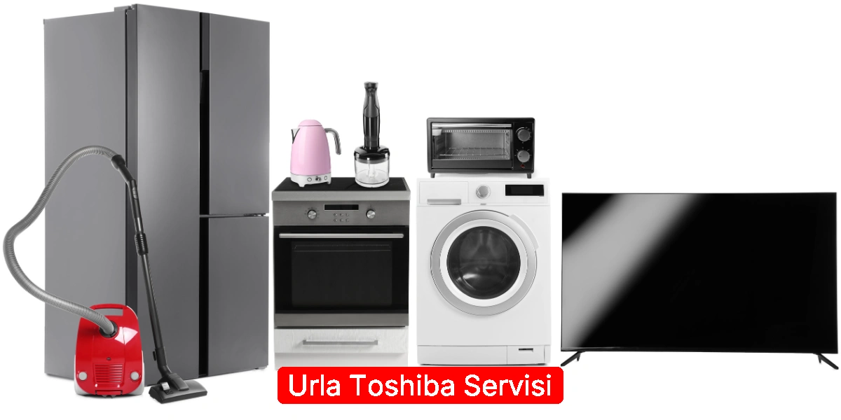 Urla Toshiba Servisi