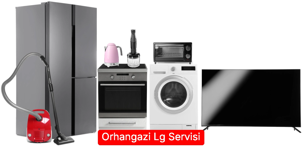 Orhangazi Lg Servisi