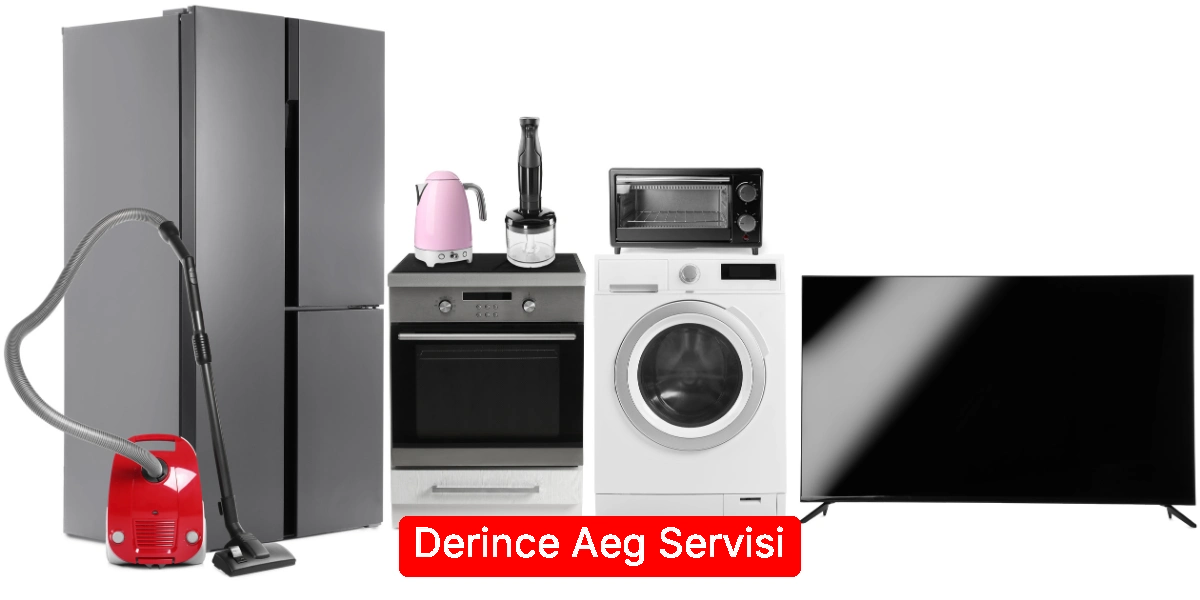 Derince Aeg Servisi