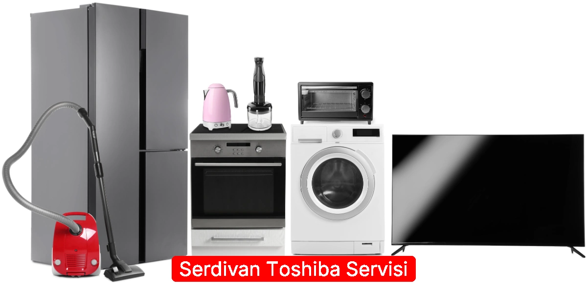 Serdivan Toshiba Servisi