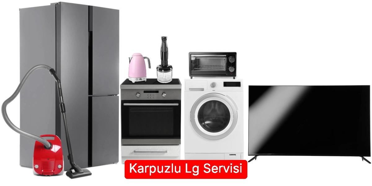 Karpuzlu Lg Servisi