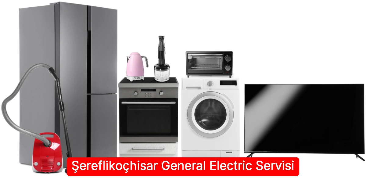 Şereflikoçhisar General Electric Servisi