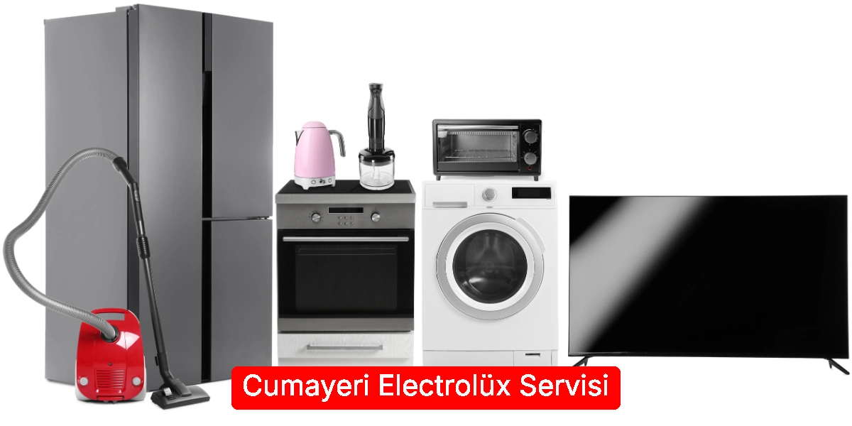 Cumayeri Electrolüx Servisi