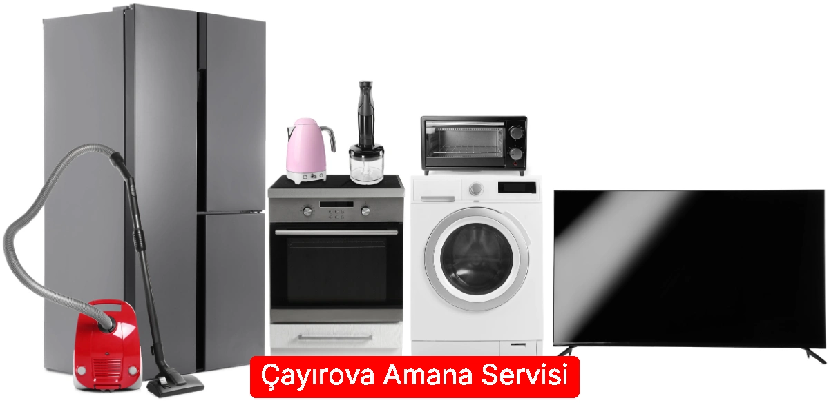 Çayırova Amana Servisi
