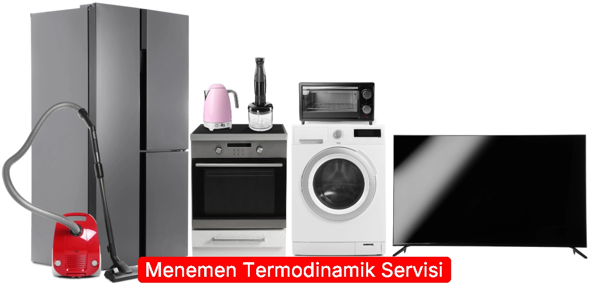 Menemen Termodinamik Servisi