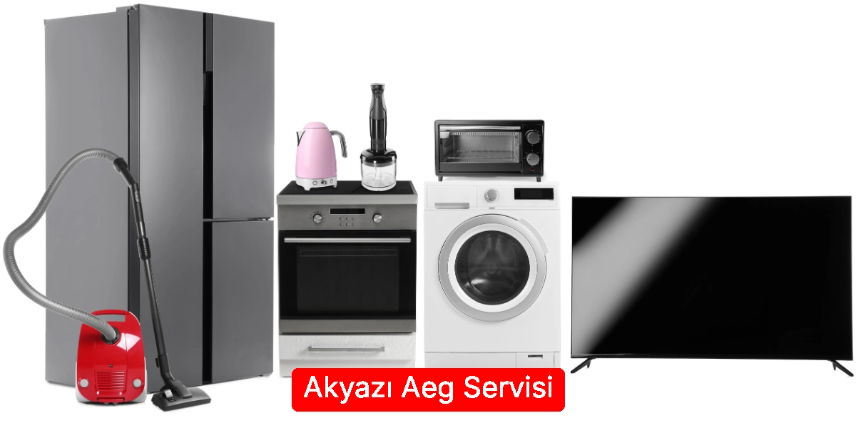 Akyazı Aeg Servisi