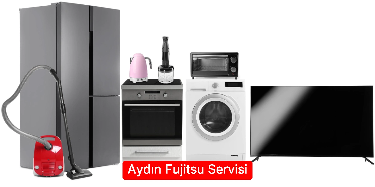Aydın Fujitsu Servisi