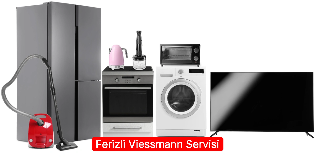 Ferizli Viessmann Servisi