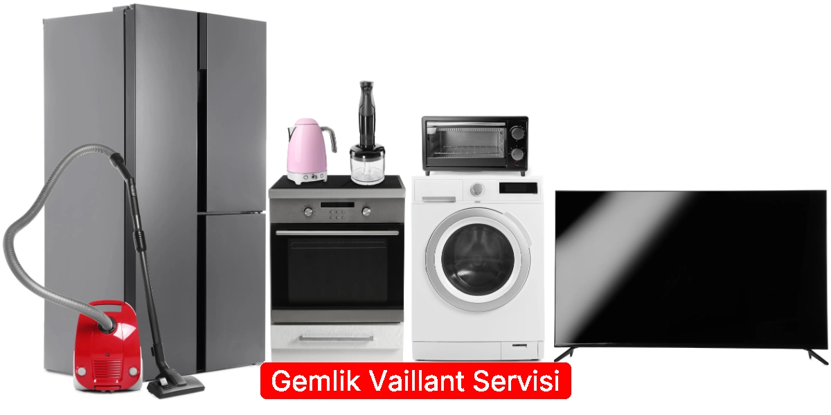 Gemlik Vaillant Servisi