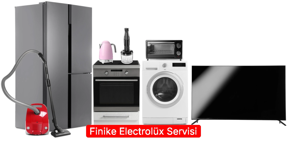Finike Electrolüx Servisi