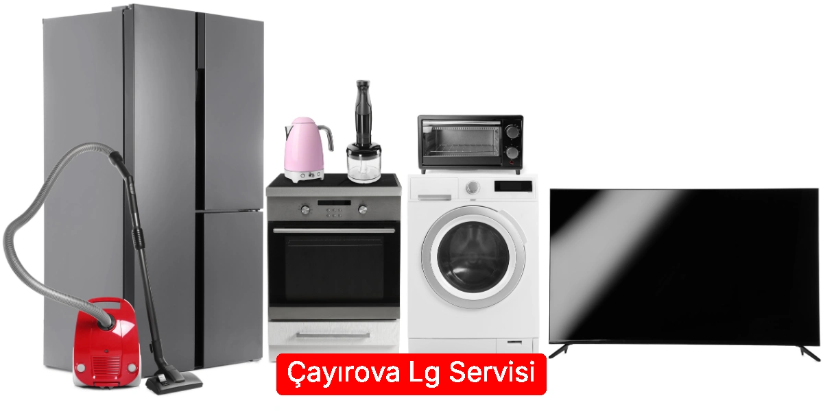 Çayırova Lg Servisi