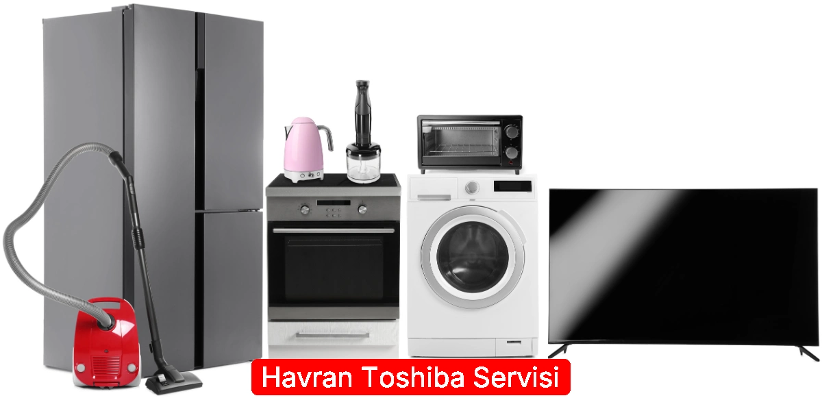 Havran Toshiba Servisi