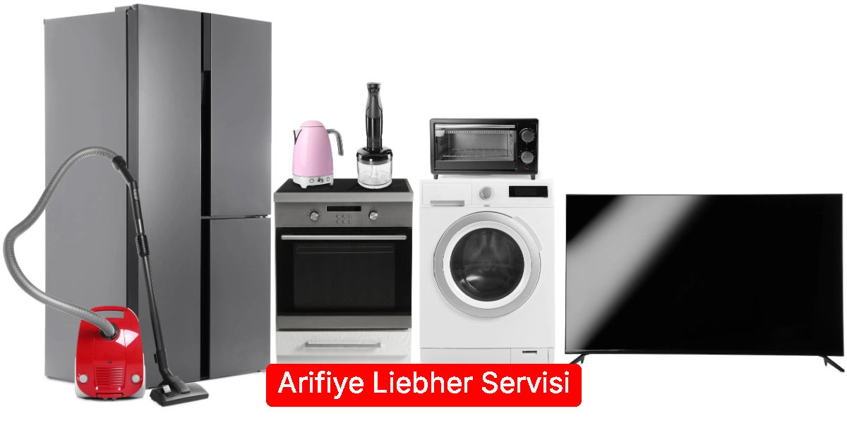 Arifiye Liebher Servisi