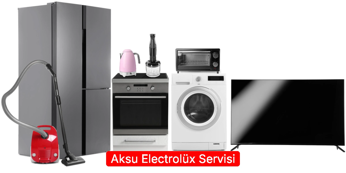 Aksu Electrolüx Servisi