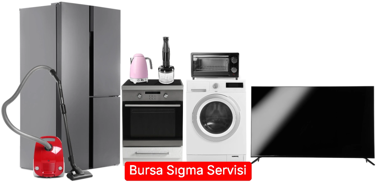 Bursa Sıgma Servisi