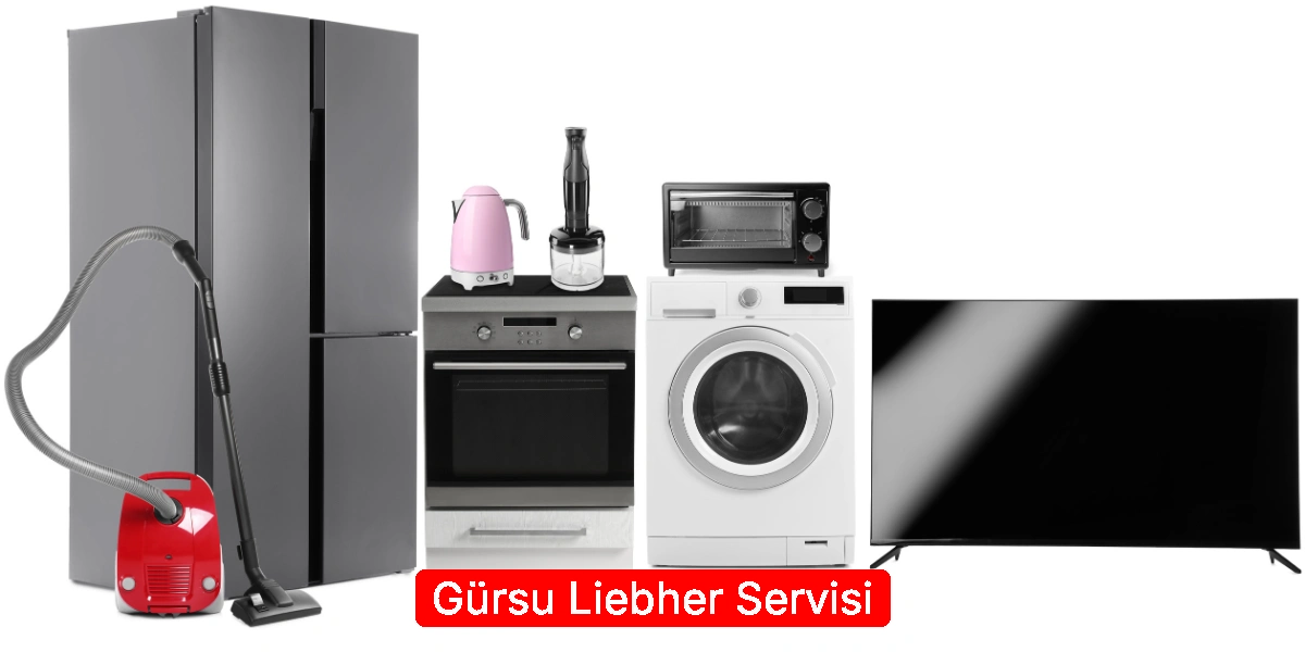 Gürsu Liebher Servisi