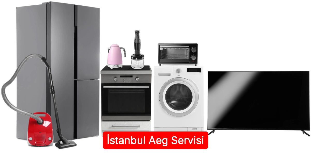 İstanbul Aeg Servisi