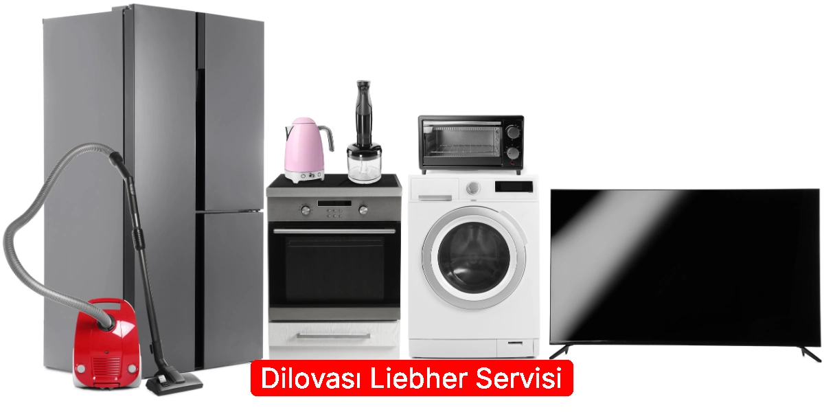 Dilovası Liebher Servisi