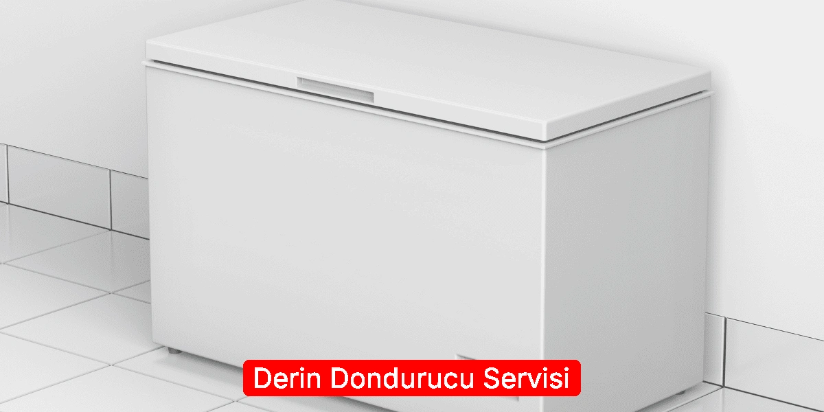 Derin Dondurucu Servisi