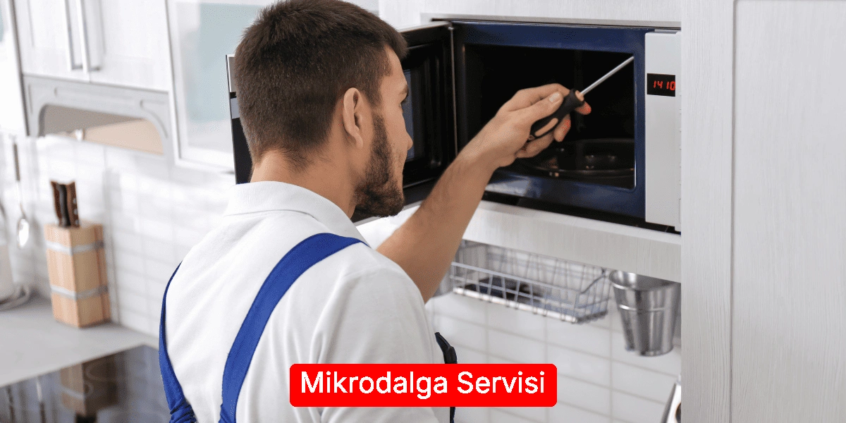 Mikrodalga Servisi